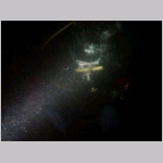 blinde_taucher_2.html